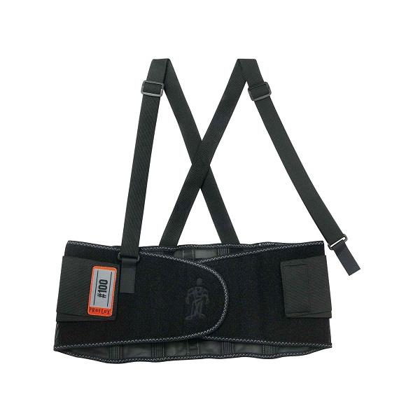 Ergodyne® ProFlex® 100 Economy Back Support