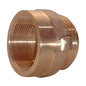 Female x Male Brass Hexagon Adapter