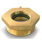 Female x Male Brass Hex Bushing